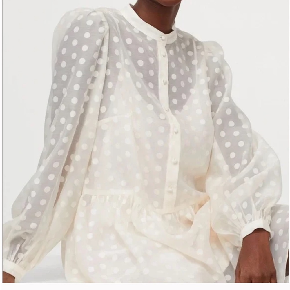H&M Sheer Polka Dot Tulle Long Sleeve Dress